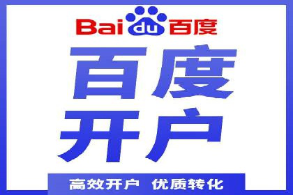 sem百度竞价实战：成功案例解析